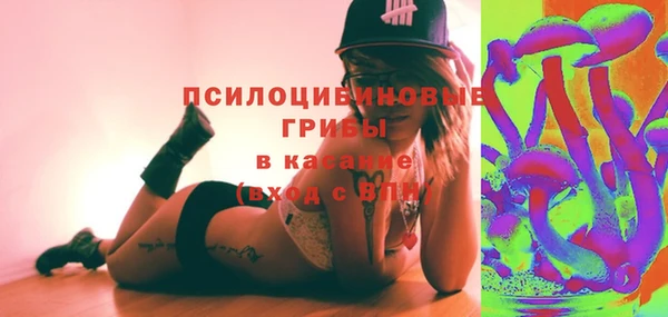 спиды Лиски