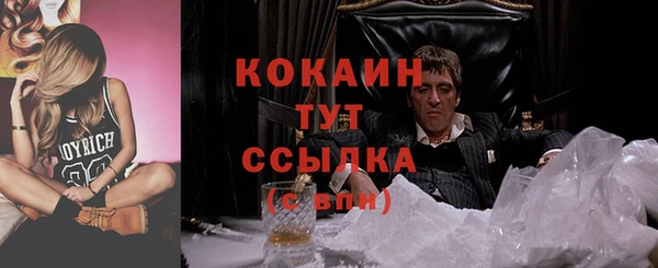 спиды Магас