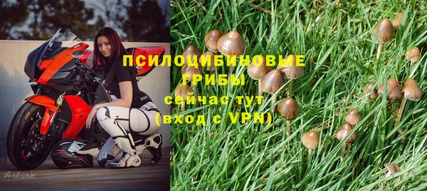 спиды Магас