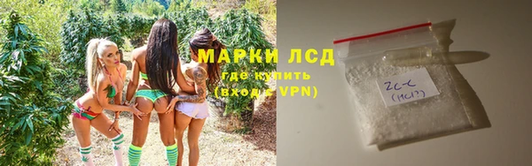 спиды Магас